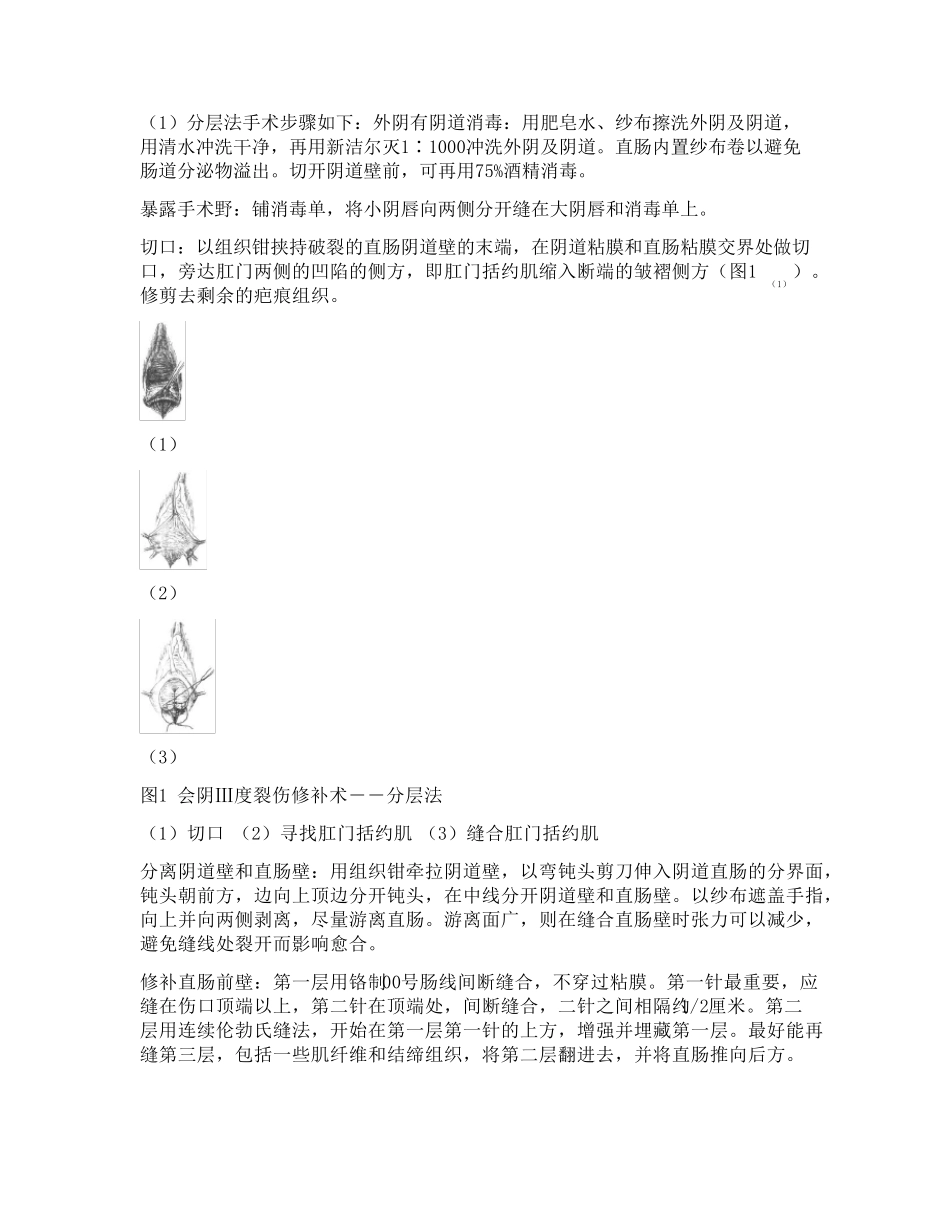 会阴Ⅲ度裂伤_第2页