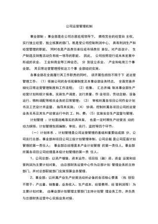 公司运营管理机制