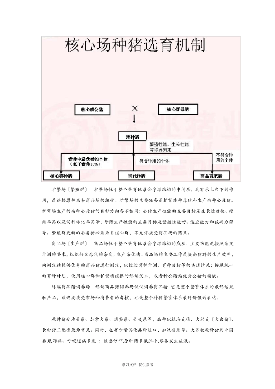 养猪繁育体系及评价指标_第2页