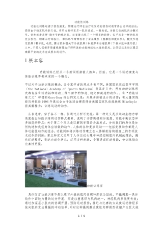 功能性训练1