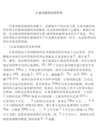后备母猪的饲养管理