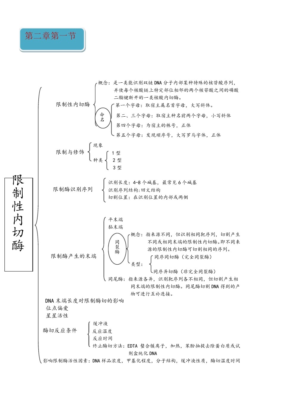 基因工程思维导图(1)_第2页