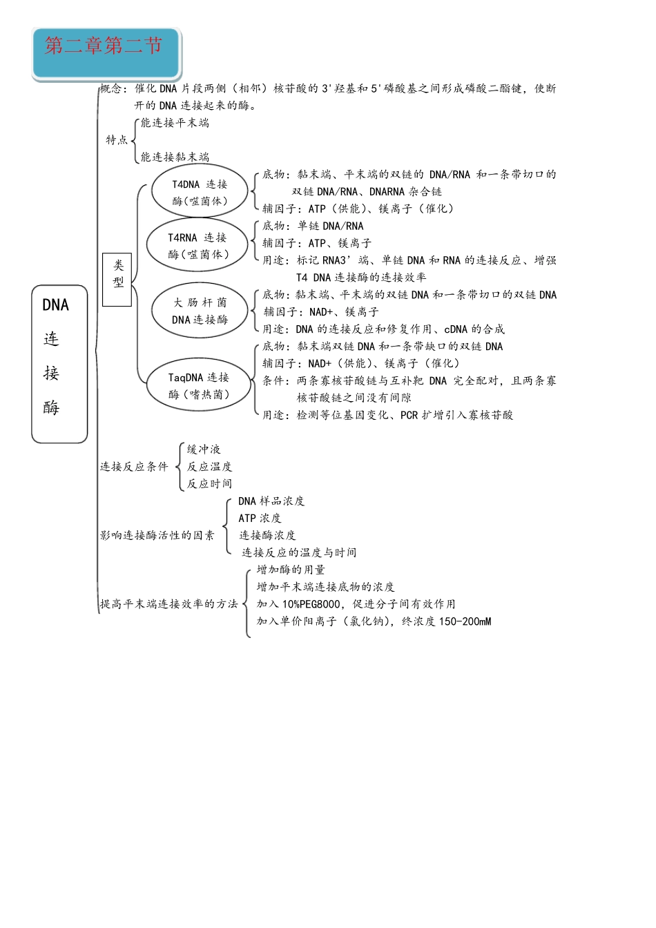 基因工程思维导图(1)_第3页