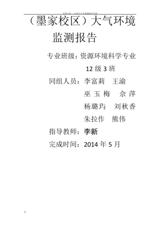 大气环境监测报告