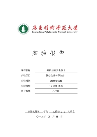 完整版0静态数据水印攻击