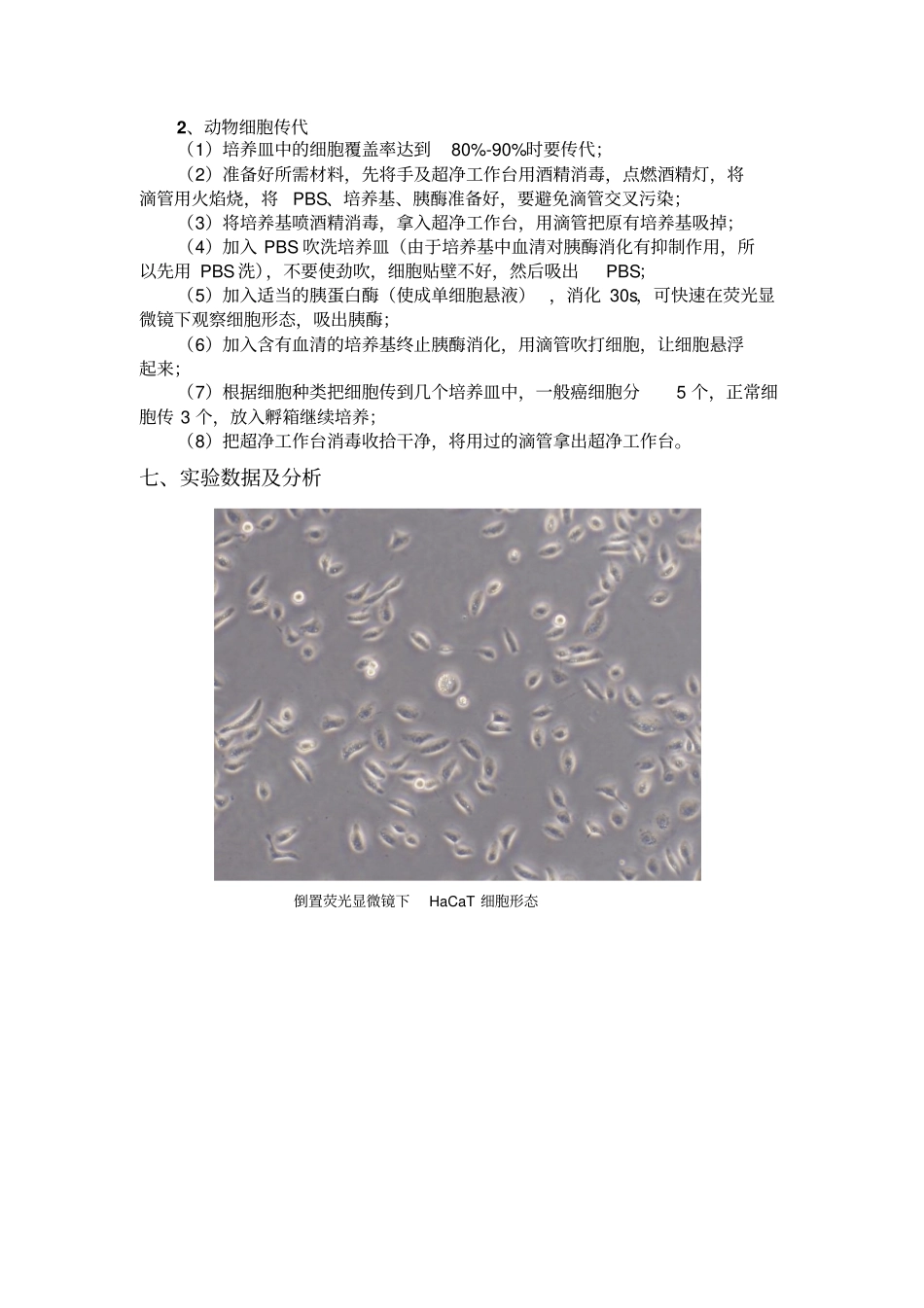 完整版2015动物细胞培养技术试验报告_第3页