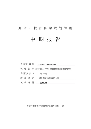 完整版2018课题中期报告