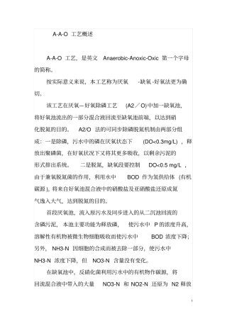 完整版AAO工艺概述