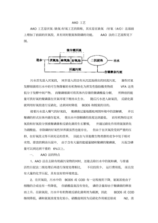 完整版AAO工艺特点和运行注意事项