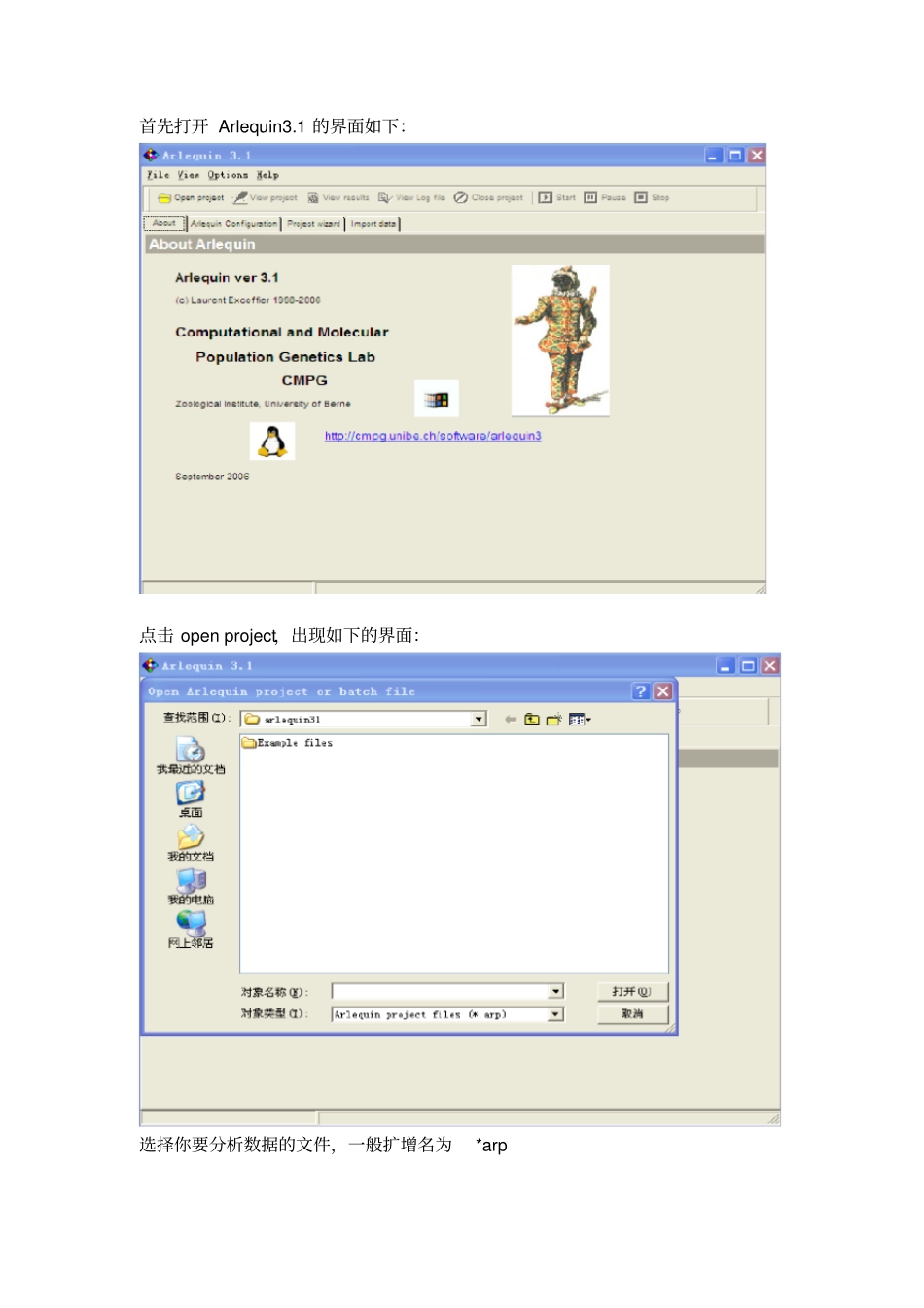 完整版Arlequin的使用说明_第2页