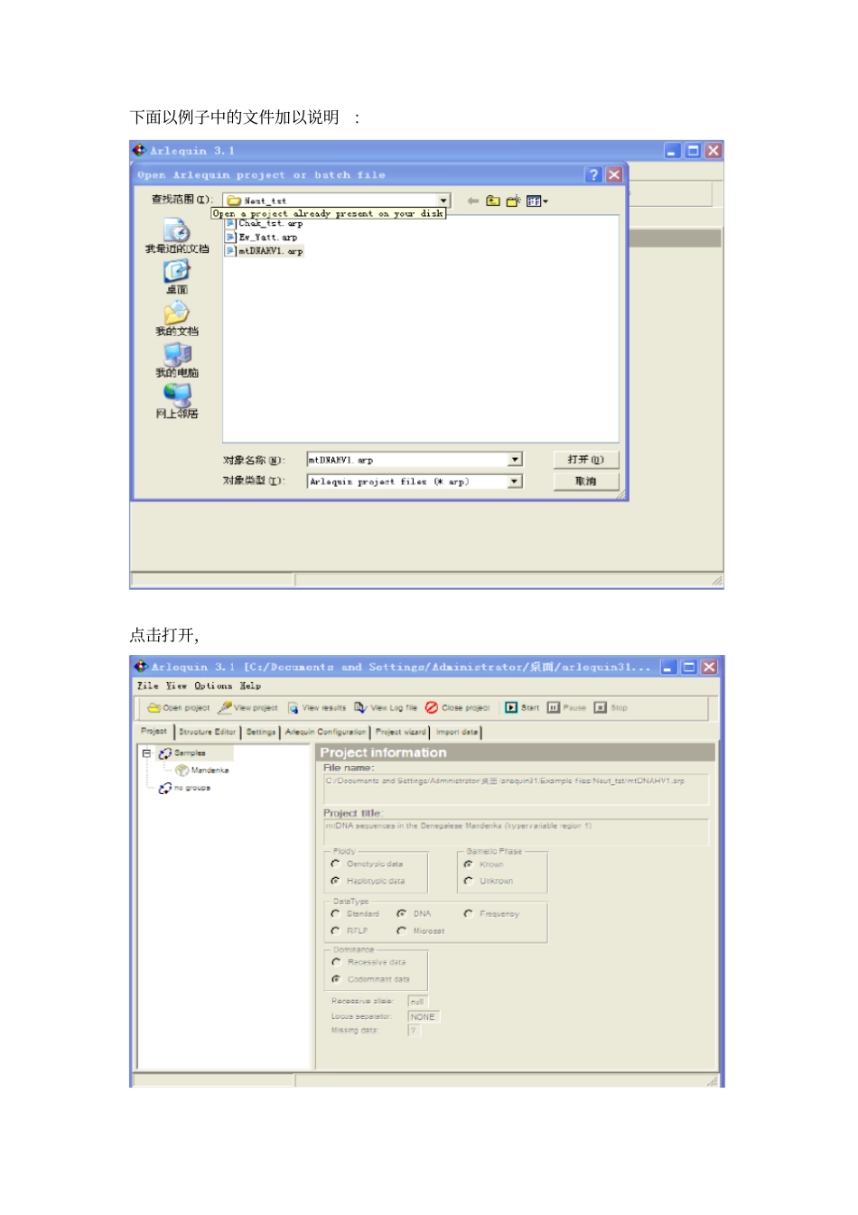 完整版Arlequin的使用说明_第3页