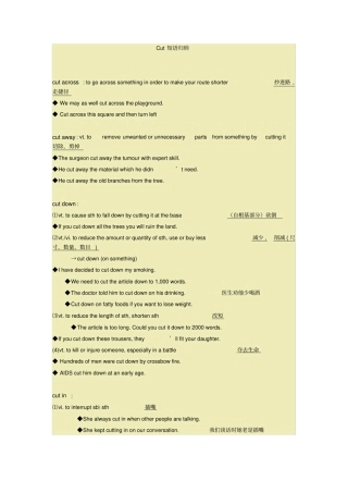 完整版Cut短语归纳,推荐文档