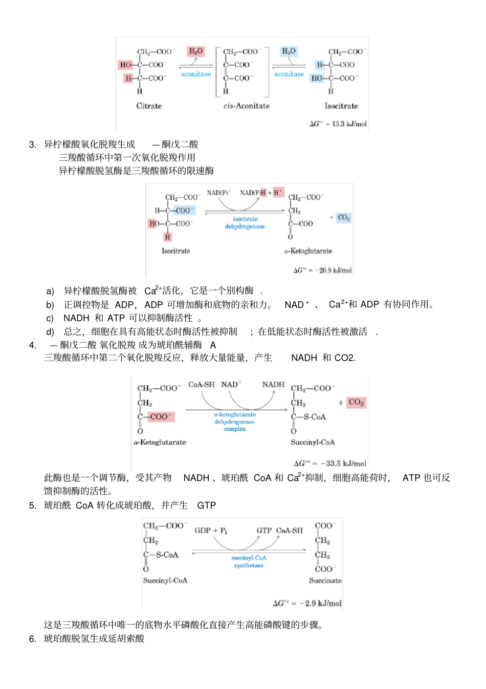 完整版三羧酸循环_第2页