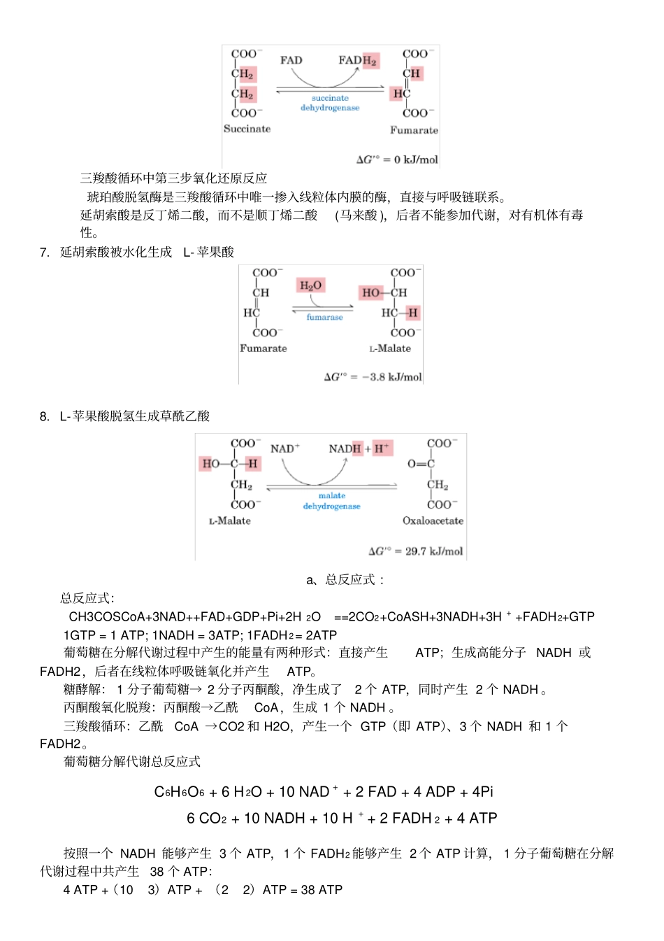 完整版三羧酸循环_第3页