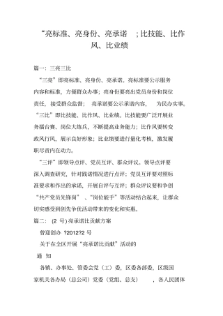完整版亮标准亮身份亮承诺;比技能比作风比业绩