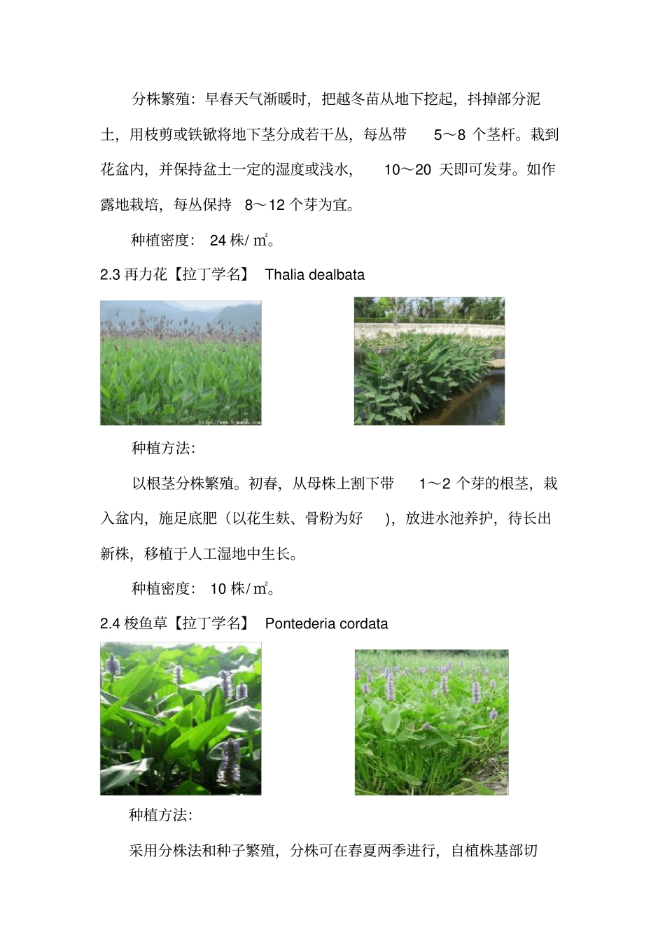 完整版人工湿地水生植物配置以及种植方法、种植间距等_第3页