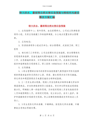 特大洪水、暴雨等自然灾害应急预案与特校作风建设整改方案汇编