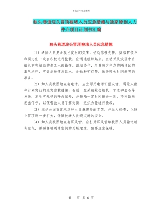 独头巷道迎头冒顶被堵人员应急措施与独家原创人力仲介项目计划书汇编