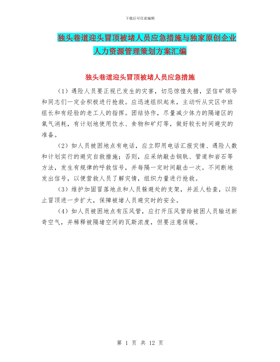 独头巷道迎头冒顶被堵人员应急措施与独家原创企业人力资源管理策划方案汇编_第1页