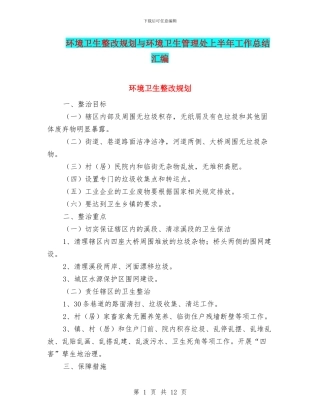 环境卫生整改规划与环境卫生管理处上半年工作总结汇编