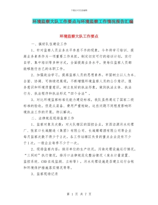 环境监察大队工作要点与环境监察工作情况报告汇编