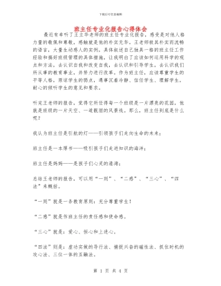 班主任专业化报告心得体会