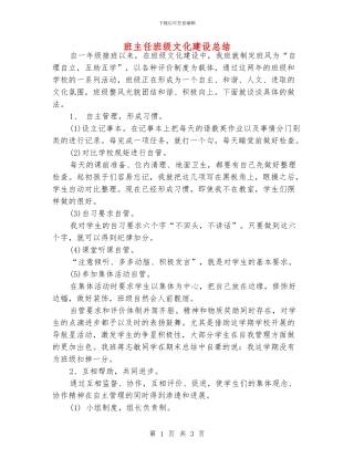 班主任班级文化建设总结