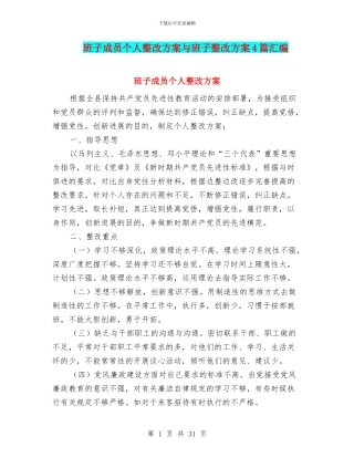 班子成员个人整改方案与班子整改方案4篇汇编