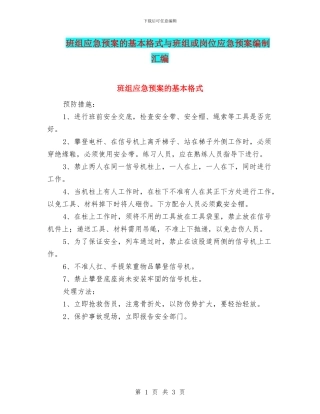 班组应急预案的基本格式与班组或岗位应急预案编制汇编