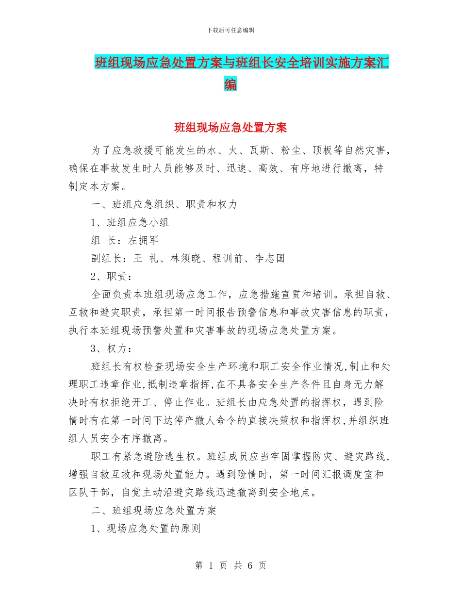 班组现场应急处置方案与班组长安全培训实施方案汇编_第1页