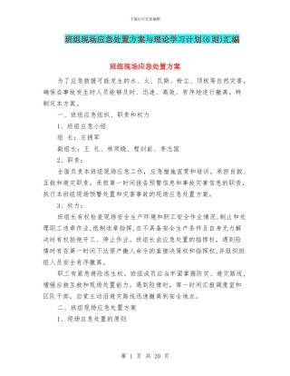 班组现场应急处置方案与理论学习计划汇编