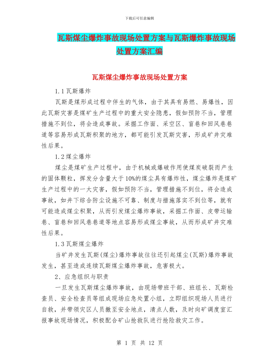 瓦斯煤尘爆炸事故现场处置方案与瓦斯爆炸事故现场处置方案汇编_第1页