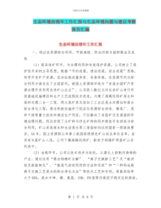 生态环境治理年工作汇报与生态环境问题与建议考察报告汇编