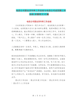 电信公司营业员年终工作总结与电信公司试用期工作总结汇编