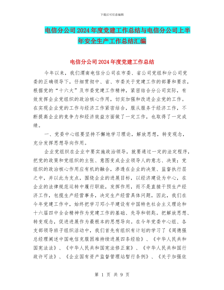 电信分公司2024年度党建工作总结与电信分公司上半年安全生产工作总结汇编_第1页