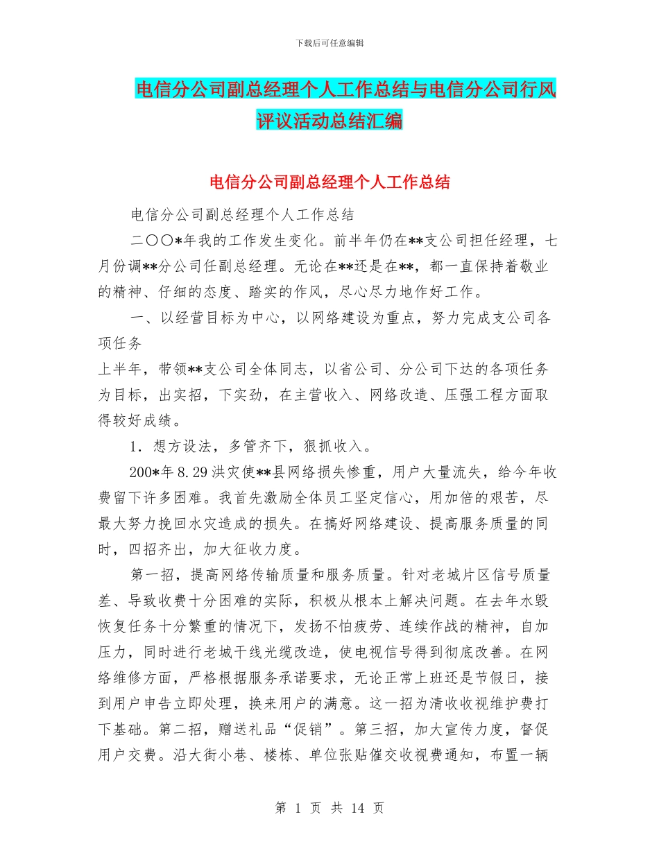 电信分公司副总经理个人工作总结与电信分公司行风评议活动总结汇编_第1页