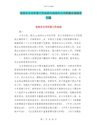 电信分公司年度工作总结与电信分公司档案自查报告汇编