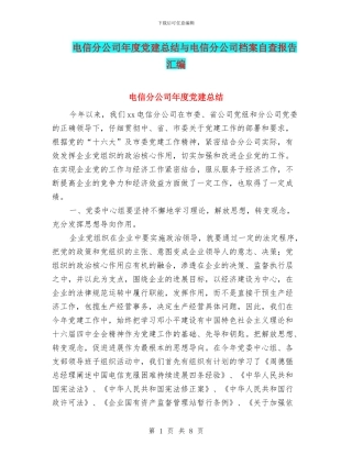 电信分公司年度党建总结与电信分公司档案自查报告汇编