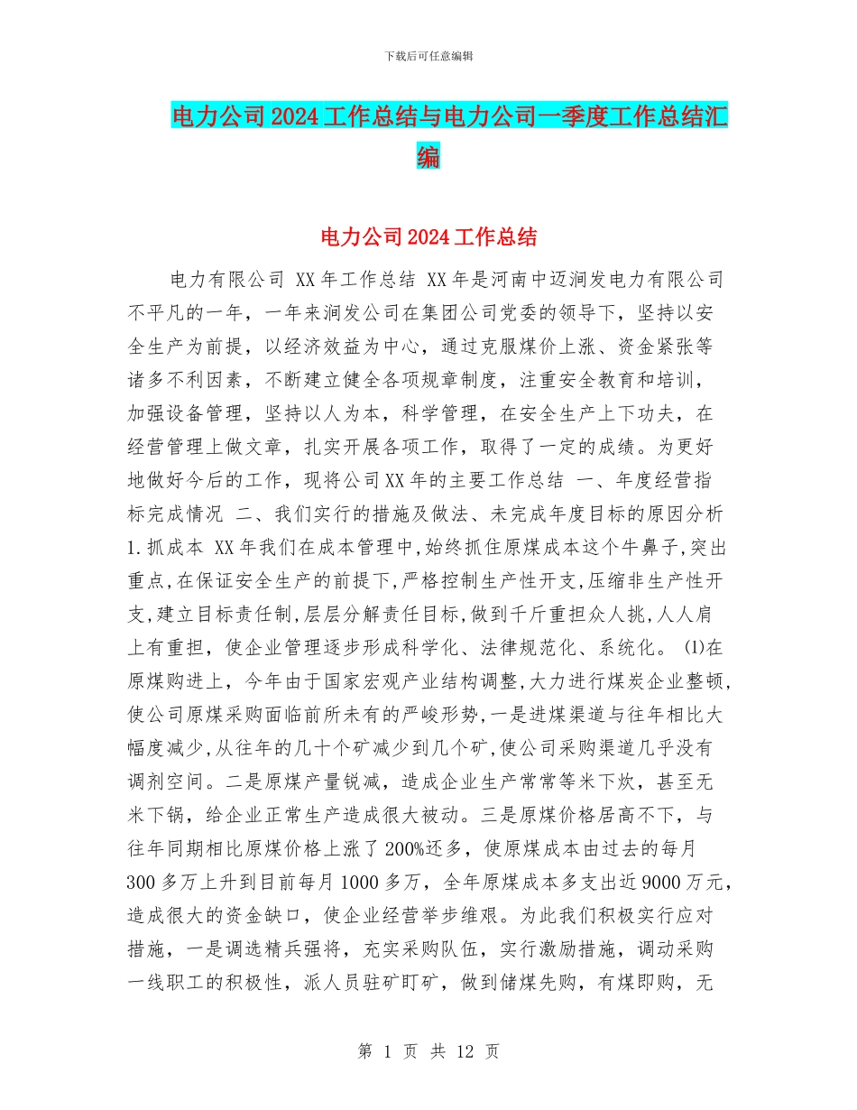 电力公司2024工作总结与电力公司一季度工作总结汇编_第1页