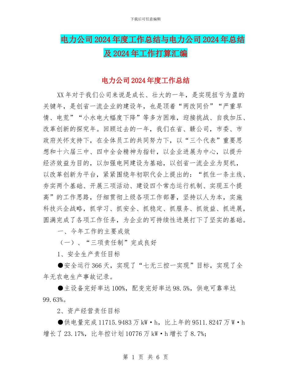 电力公司2024年度工作总结与电力公司2024年总结及2024年工作打算汇编_第1页