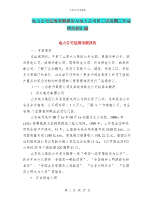 电力公司发展考察报告与电力公司员工试用期工作总结范例汇编