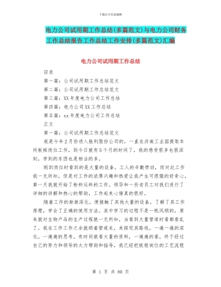 电力公司试用期工作总结与电力公司财务工作总结报告工作总结工作安排(多篇范文)汇编