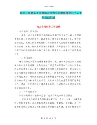 电力公司财务工作总结与电力公司财务部主任个人工作总结汇编