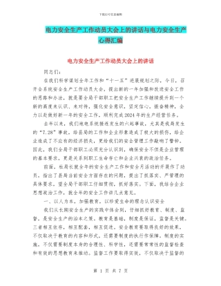 电力安全生产工作动员大会上的讲话与电力安全生产心得汇编