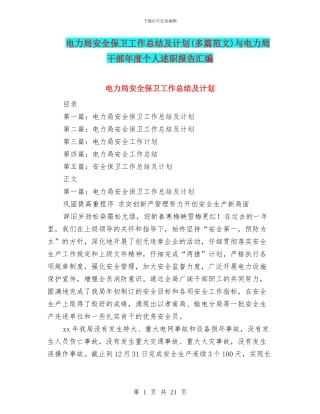 电力局安全保卫工作总结及计划与电力局干部年度个人述职报告汇编
