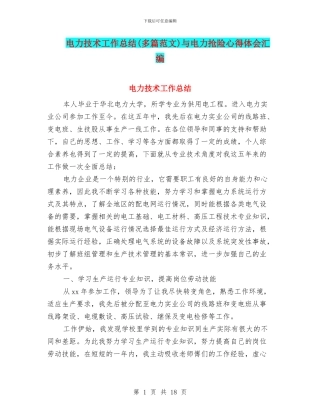 电力技术工作总结与电力抢险心得体会汇编