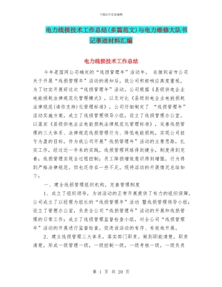 电力线损技术工作总结与电力维修大队书记事迹材料汇编