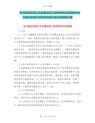 电力股份有限公司处置电网大面积停电应急预案与电力股份有限公司突发地质灾害应急预案汇编