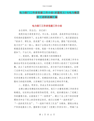 电力部门工作者党建工作小结与电力集团职工述职述廉汇编
