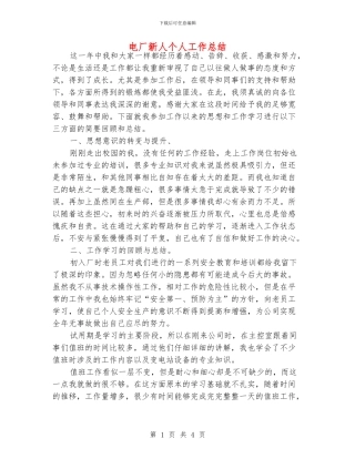 电厂新人个人工作总结